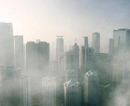 Sederet Solusi Hijau untuk Mengurangi Polusi Udara di Perkotaan